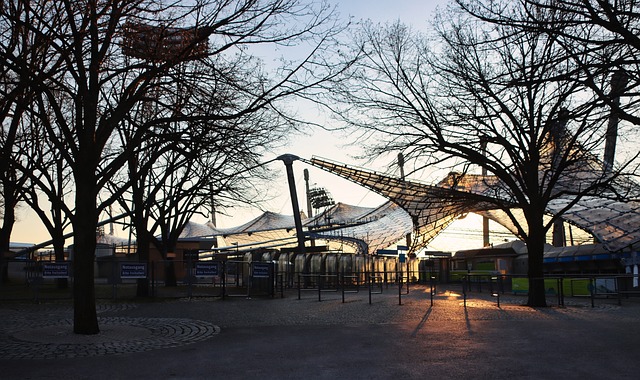 看到网友的 看到网友的