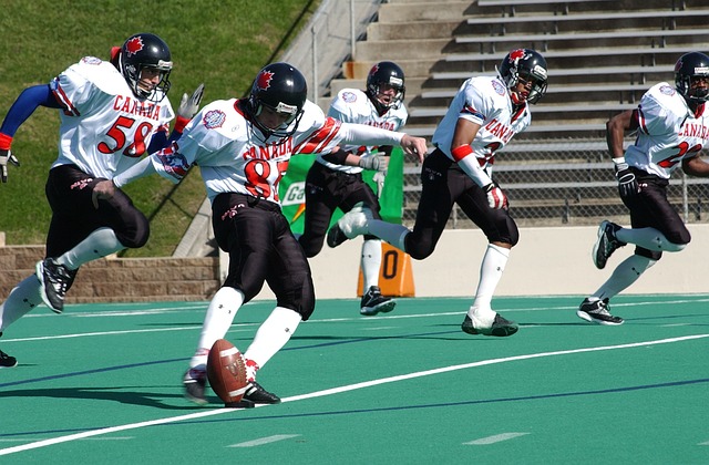 成都女婿的 成都女婿的