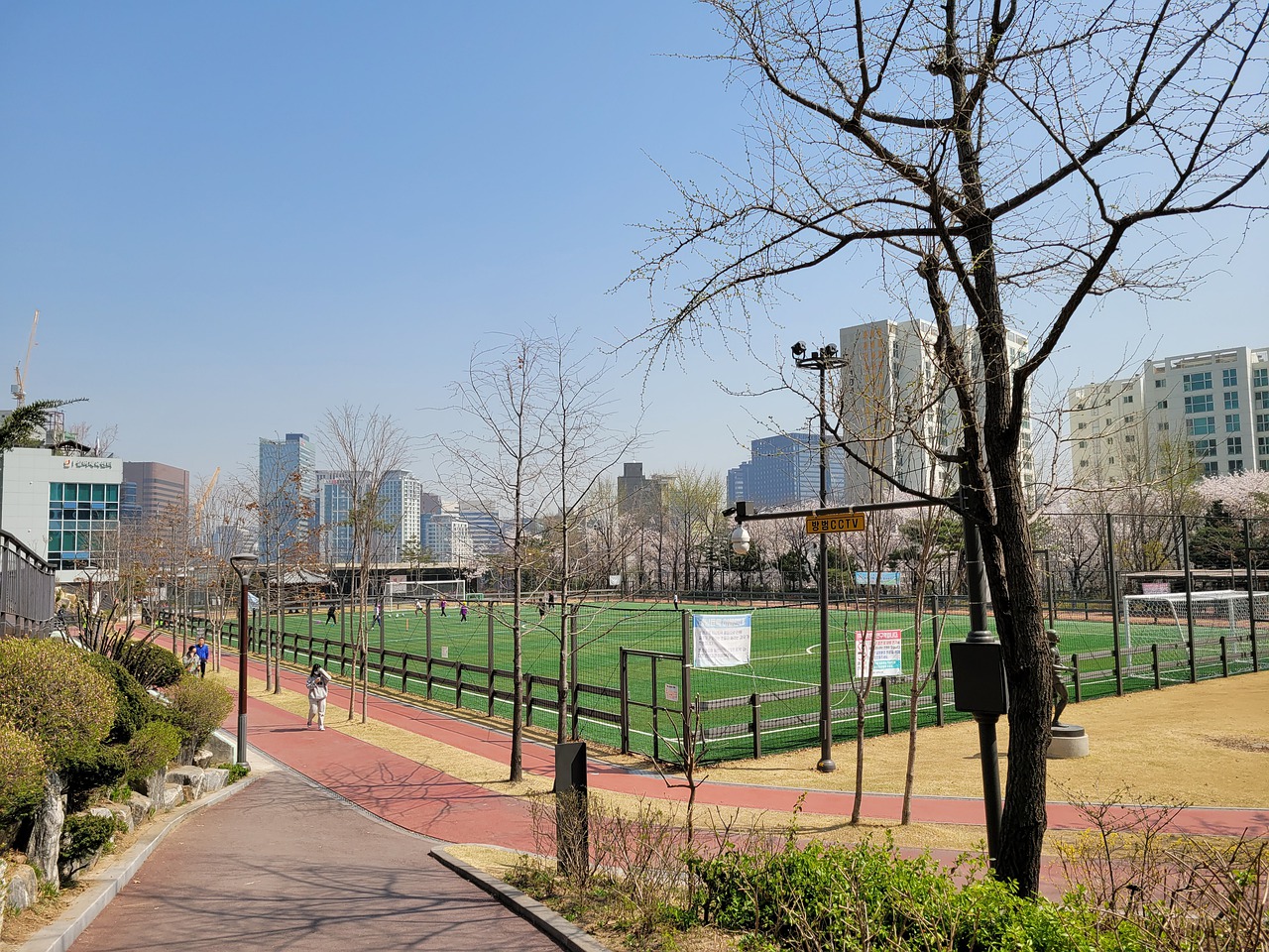 牛都是一个 牛都是一个