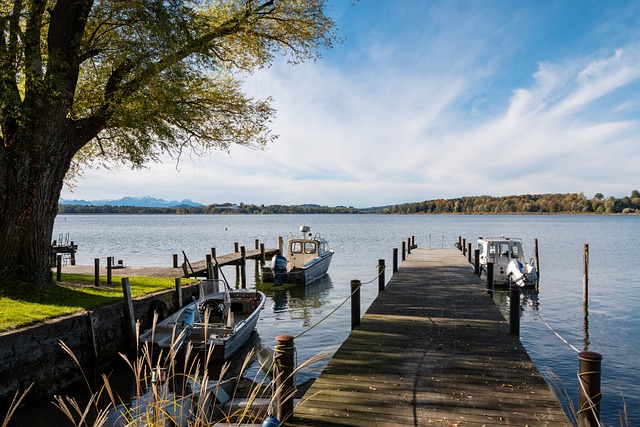 人入选仅仅 人入选仅仅