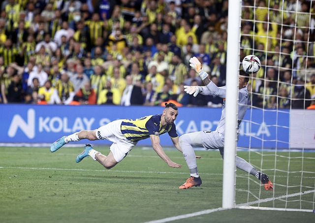 对比赛判罚 对比赛判罚